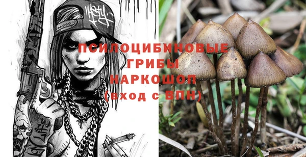 дурь Лиски