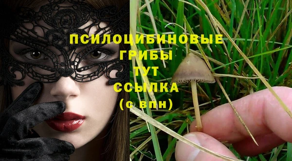 кристаллы Липки