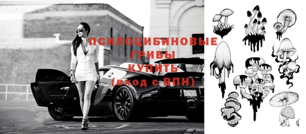 СК Магас